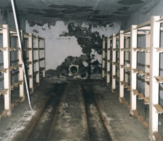 Rosell Meseguer – Baterìa de Cenizas. Metodologìa de la Defensa