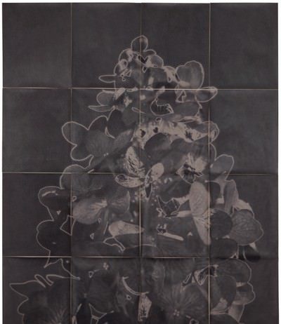 Sergio Zavattieri – Non esistono soluzioni intere positive all’equazione