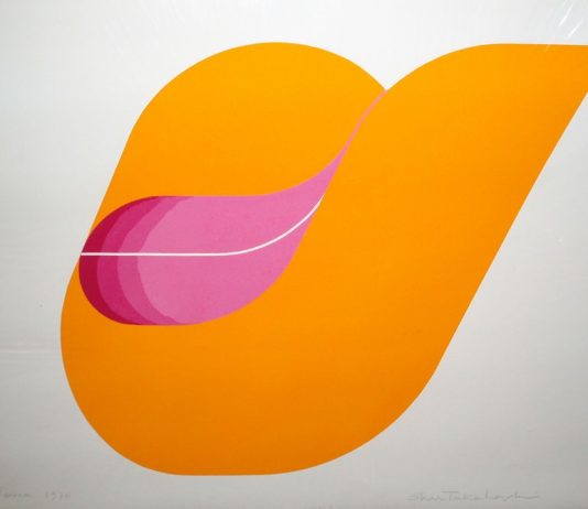 Shu Takahashi – Il colore della vita