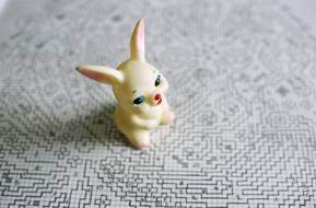 Silvia Camporesi – Wandering