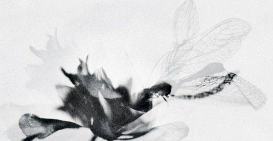 Silvia Reichenbach / Stefania Ricci – Self Reflex