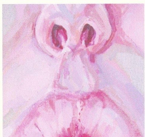 Sonia Ceccotti – Intimità