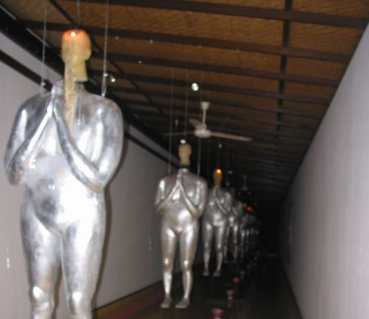51 Biennale. Padiglione indonesiano