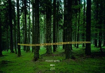 52 Biennale – Moreno Gentili