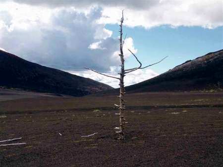 Alessandro Belgiojoso – Paesaggi mentali Alessandro Belgiojoso – Paesaggi mentali