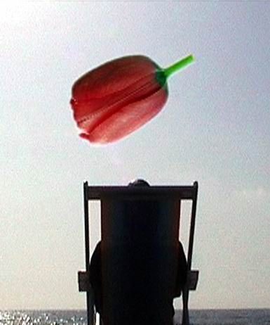 brigataes – I have a dream