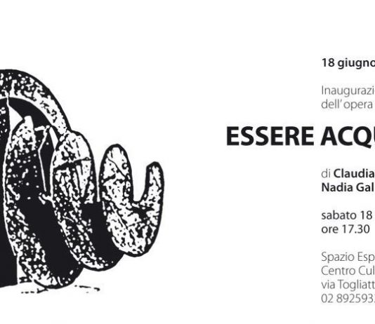 Claudia Canavesi / Nadia Galbiati – Essere acqua cheta