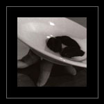 Degustazioni sensoriali