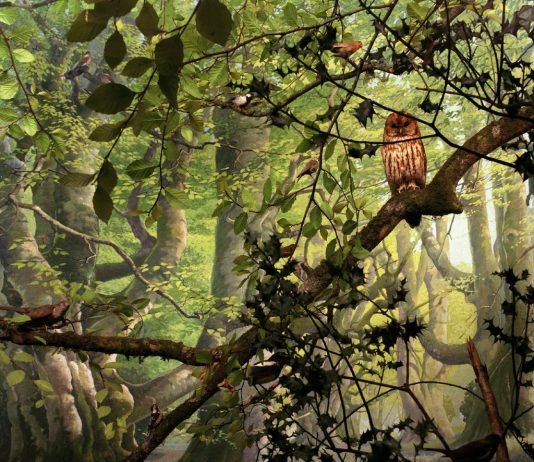 Deva Graf / Kathryn Hillier