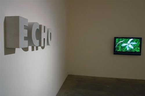 Emanuela Marassi – Echo e Narciso