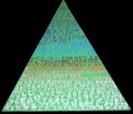 Emozioni in libertà