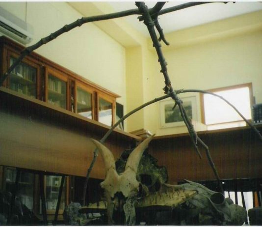 Fabrizio Ajello / Vanni Quadrio