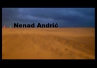 Fondazione Nenad Andric