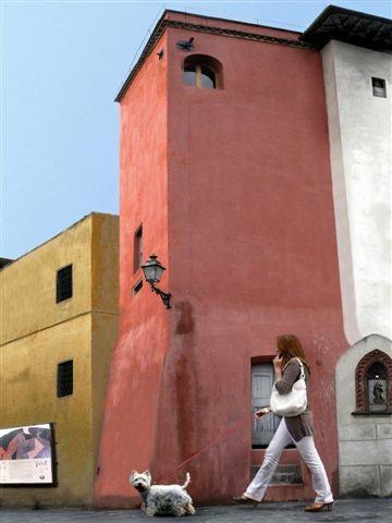 Fotografare il Territorio: il Comune di Peccioli – Pisahttps://www.exibart.com/repository/media/eventi/2005/06/fotografare-il-territorio-il-comune-di-peccioli-8211-pisa.jpg