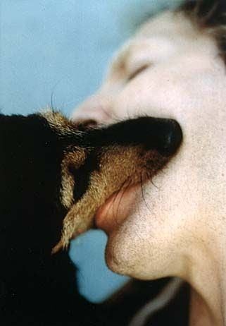 Fuoribiennale 2005. 311 cm quadri Fuoribiennale 2005. 311 cm quadri