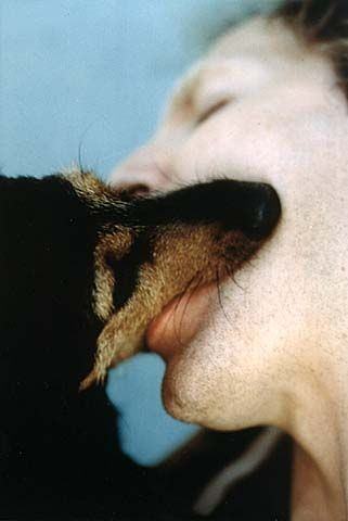 Fuoribiennale 2005. 311 cm quadrihttps://www.exibart.com/repository/media/eventi/2005/06/fuoribiennale-2005.-311-cm-quadri.jpg