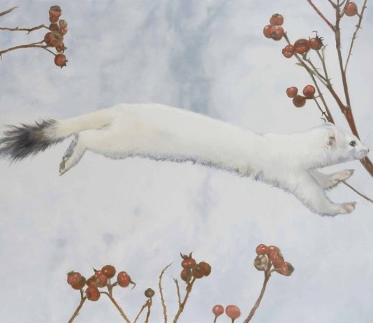 Gian Marco Montesano – Fratelli di quale reggimento siete?