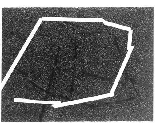 Giovanni Campus Giovanni Campus