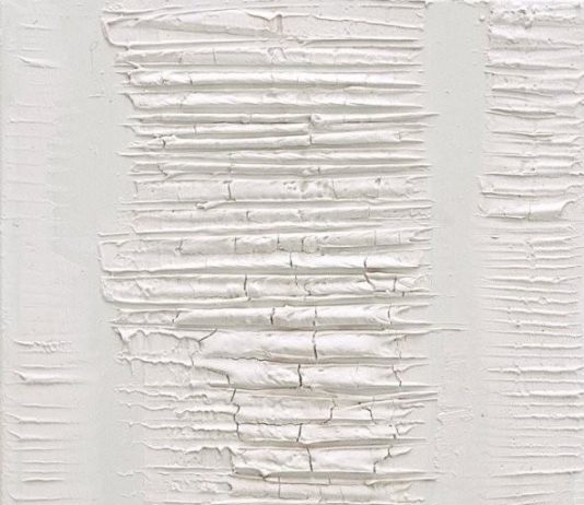 Grazia Fortuna Ward – Surface de-facto