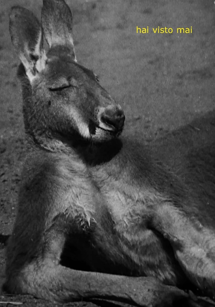 Hai visto mai #1https://www.exibart.com/repository/media/eventi/2005/06/hai-visto-mai-1.jpg