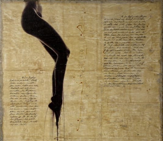 Hyena – 4: la donna nel sogno Hyena – 4: la donna nel sogno