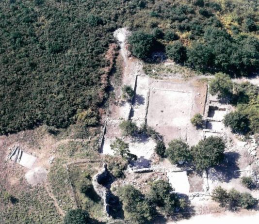 L’Aratro e il Calamo. Benedettini e Cistercensi sul Monte Pisano