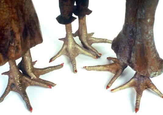 Maria Panico Saraceno – Fili imbrogliati