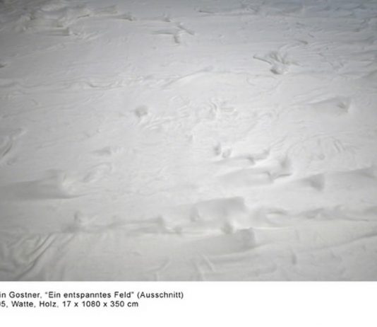 Martin Gostner – Un campo disteso Martin Gostner – Un campo disteso