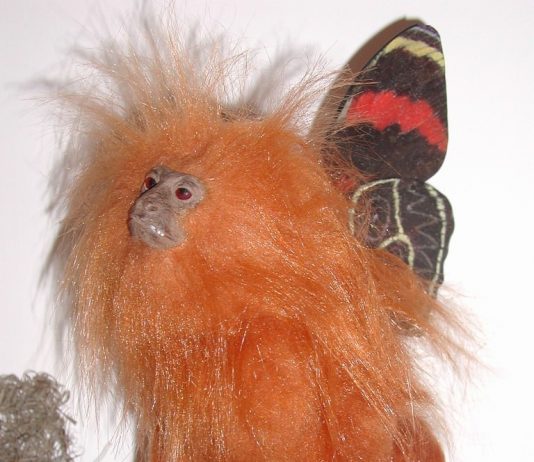 Maurizio Elettrico – Lo Scoiattolo e il Graal