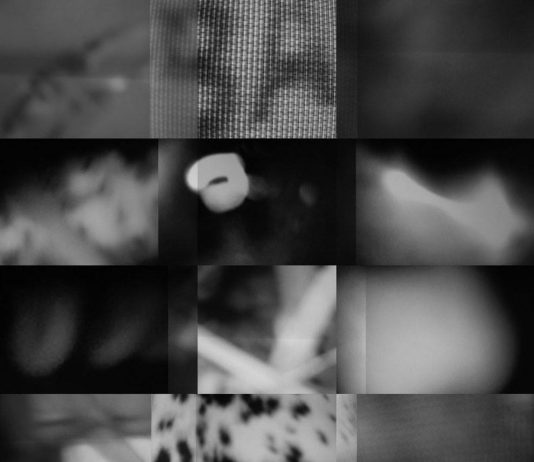 Michele Salmi – Oltre lo sguardo