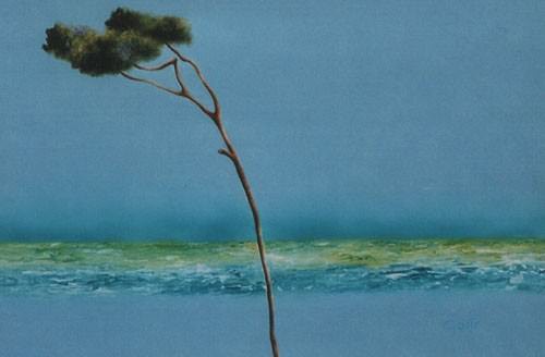 Opere recenti Opere recenti