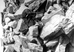 Romano Bertuzzi – La natura nel tempo sospeso