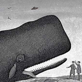 short show #4 – Marco Belfiore