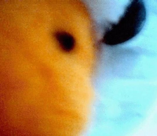 Split-Screen #8 – Luciano Maggiore