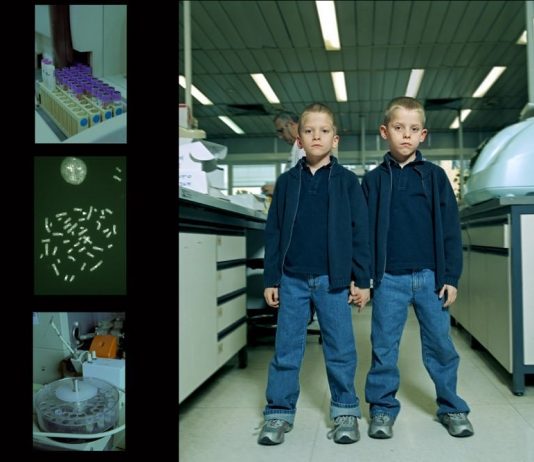 Stefano Cerio – Codice multiplo