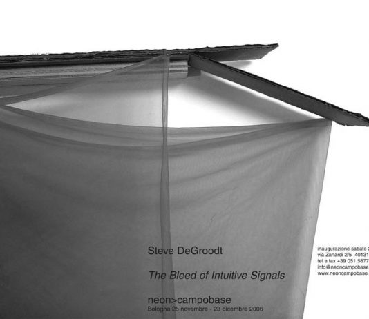 Steve DeGroodt – The Bleed of Intuitive Signals