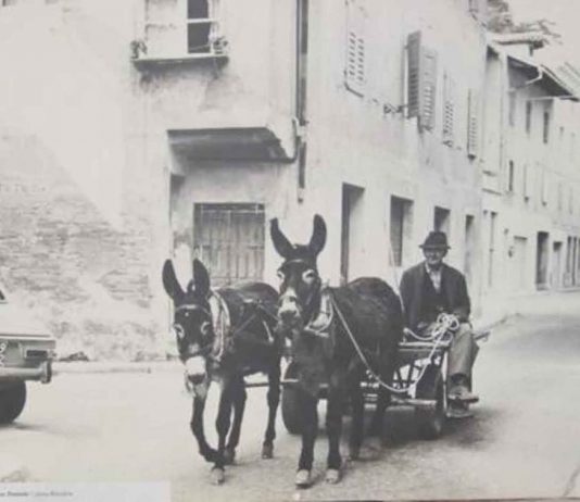 Adriano Silvestri – interVISTE. Osoppo 1974 – 2005