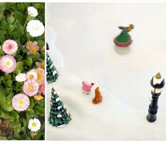 Aimara Garlaschelli / Moreno Gentili – Arborea