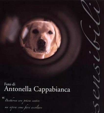 Antonella Cappabianca  – Fotosensibili