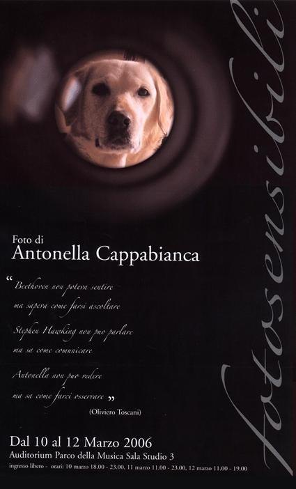 Antonella Cappabianca – Fotosensibilihttps://www.exibart.com/repository/media/eventi/2005/07/antonella-cappabianca-8211-fotosensibili.jpg