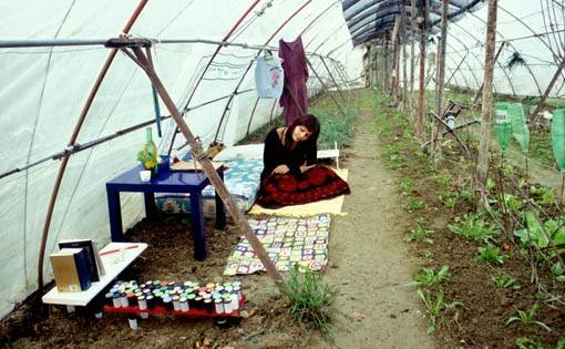 Artefatta 2006 – Michela Pozzi