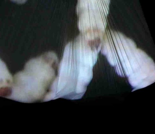 Calice Ligure Città Aperta