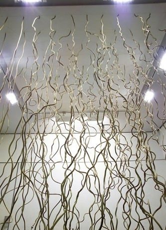 Carlo Steiner – Frequenze