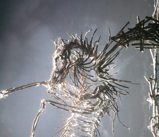 Daniele Montis – I giardini di legno. Metamorfosi di una vecchia miniera