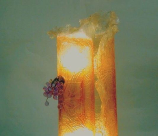 Domenico Magazù / Ernesto Parodi