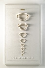 Elio Marchegiani – Linee di produzione 1957–2006 Elio Marchegiani – Linee di produzione 1957–2006