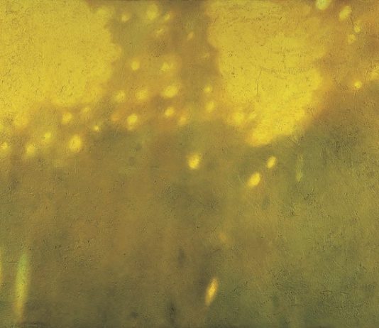 Francesco Stefanini – Luci