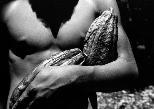 Luca Rinaldini – Cacao, sulle tracce di Jorge Amado