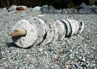 Margherita Bussi Margherita Bussi