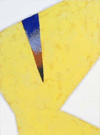 Renato Barisani – Organismi astratti